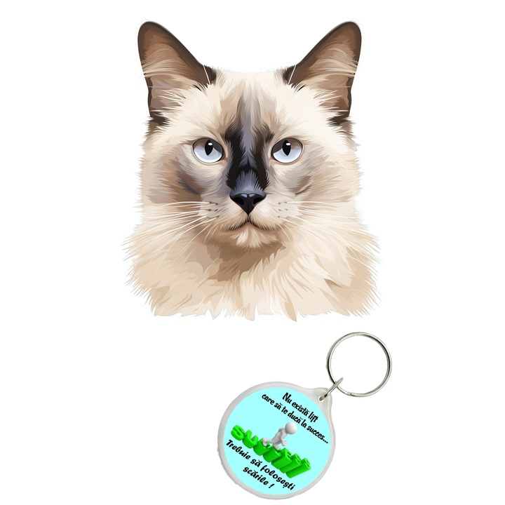 Set sticker decorativ perete, auto si geam, Pisica - Balinese model 5, 40 CM si breloc succes