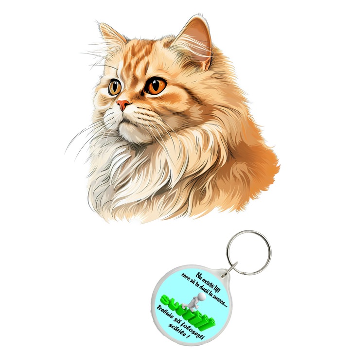 Set sticker decorativ perete, auto si geam, Pisica - British Longhair model 5, 35 CM si breloc succes