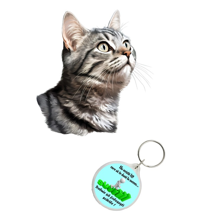 Set sticker decorativ perete, auto si geam, Pisica - Brazilian Shorthair model 2, 40 CM si breloc succes