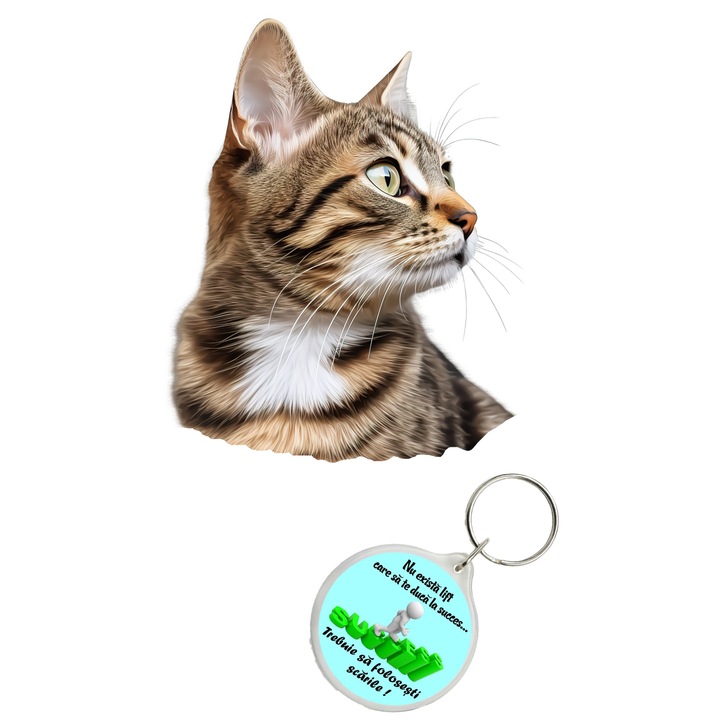 Set sticker decorativ perete, auto si geam, Pisica - Brazilian Shorthair model 5, 40 CM si breloc succes