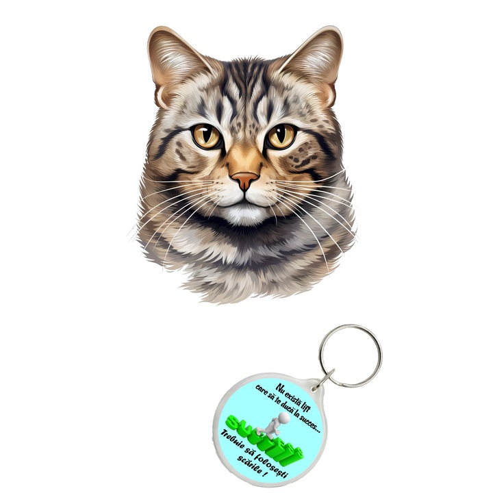 Set sticker decorativ perete, auto si geam, Pisica - Brazilian Shorthair model 6, 40 CM si breloc succes