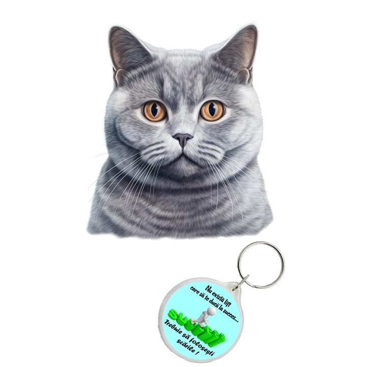 Set sticker decorativ perete, auto si geam, Pisica - British Shorthair model 7, 35 CM si breloc succes