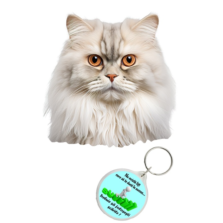 Set sticker decorativ perete, auto si geam, Pisica - British Longhair model 8, 40 CM si breloc succes