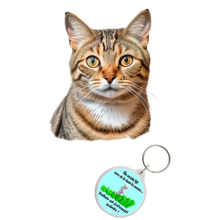 Set sticker decorativ perete, auto si geam, Pisica - Brazilian Shorthair model 1, 40 CM si breloc succes