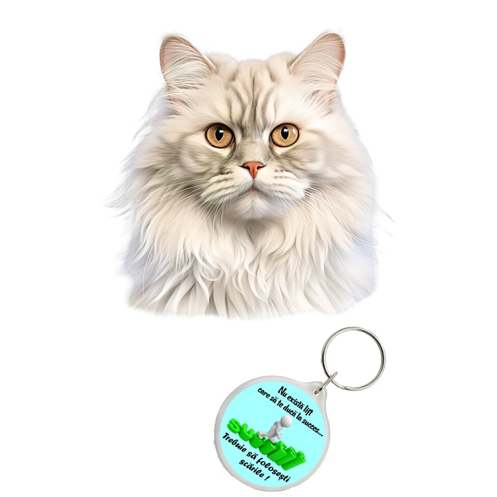 Set sticker decorativ perete, auto si geam, Pisica - British Longhair model 4, 40 CM si breloc succes