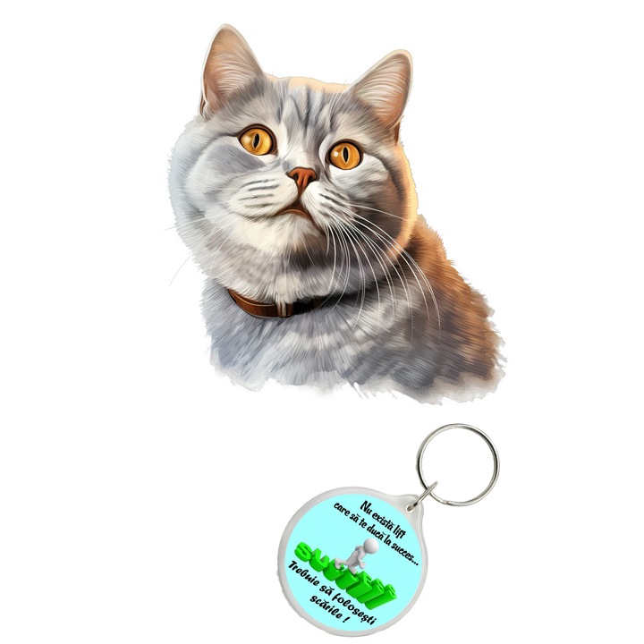 Set sticker decorativ perete, auto si geam, Pisica - British Shorthair model 2, 40 CM si breloc succes
