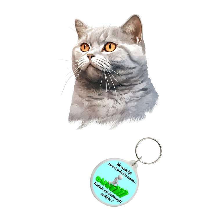 Set sticker decorativ perete, auto si geam, Pisica - British Shorthair model 1, 35 CM si breloc succes