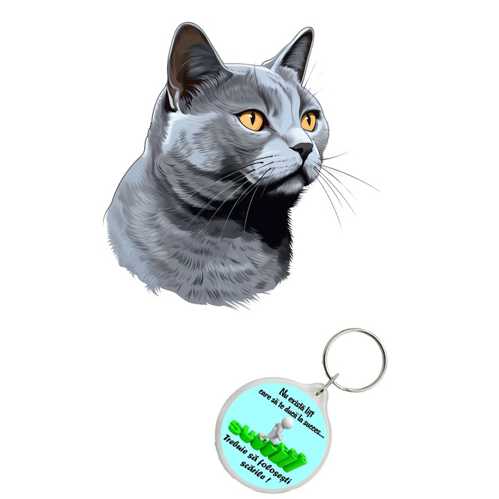 Set sticker decorativ perete, auto si geam, Pisica - Chartreux model 7, 40 CM si breloc succes