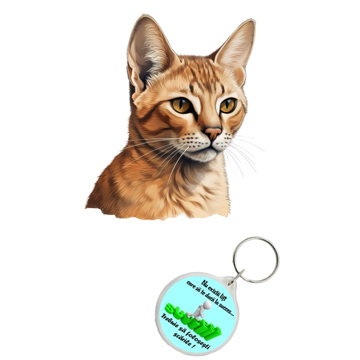 Set sticker decorativ perete, auto si geam, Pisica - Chausie model 2, 35 CM si breloc succes