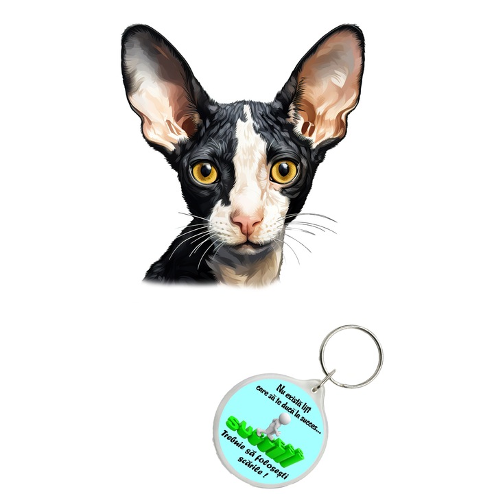Set sticker decorativ perete, auto si geam, Pisica - Cornish Rex model 4, 35 CM si breloc succes