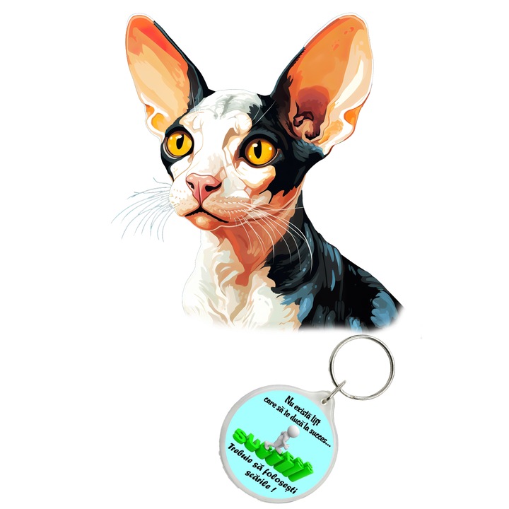 Set sticker decorativ perete, auto si geam, Pisica - Cornish Rex model 2, 40 CM si breloc succes