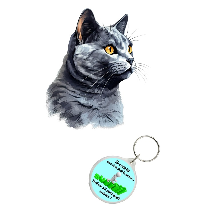 Set sticker decorativ perete, auto si geam, Pisica - Chartreux model 5, 35 CM si breloc succes