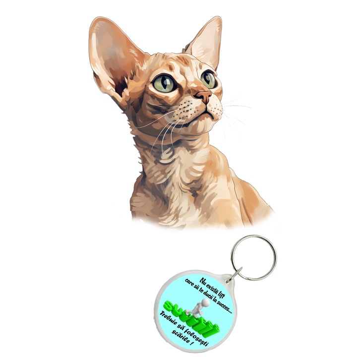 Set sticker decorativ perete, auto si geam, Pisica - Devon Rex model 19, 40 CM si breloc succes