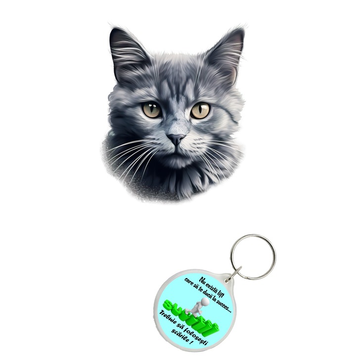 Set sticker decorativ perete, auto si geam, Pisica - Chantilly-Tiffany model 6, 40 CM si breloc succes