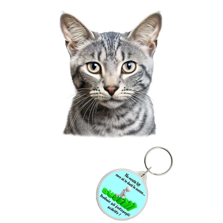 Set sticker decorativ perete, auto si geam, Pisica - Egyptian Mau model 6, 40 CM si breloc succes