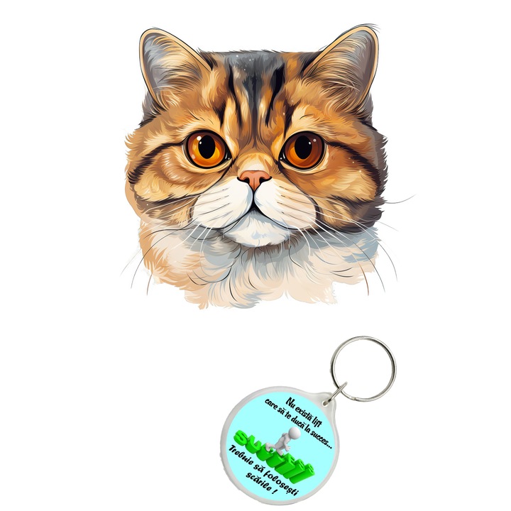 Set sticker decorativ perete, auto si geam, Pisica - Exotic Shorthair model 6, 40 CM si breloc succes