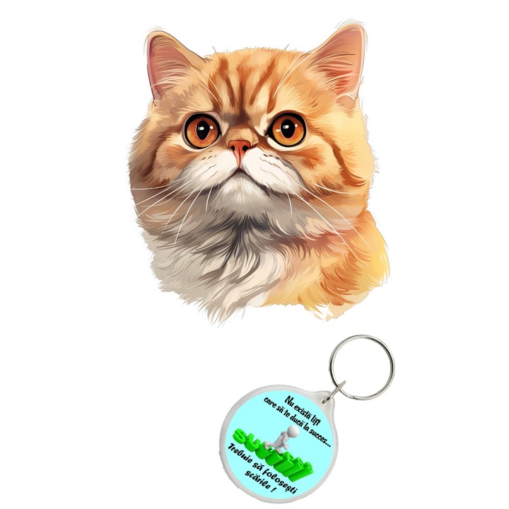 Set sticker decorativ perete, auto si geam, Pisica - Exotic Shorthair model 4, 40 CM si breloc succes