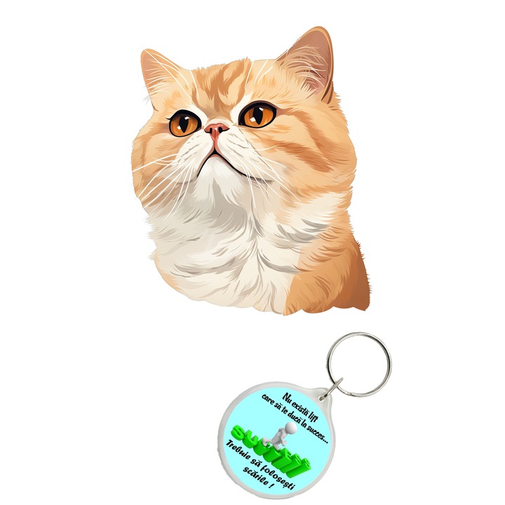 Set sticker decorativ perete, auto si geam, Pisica - Exotic Shorthair model 20, 40 CM si breloc succes