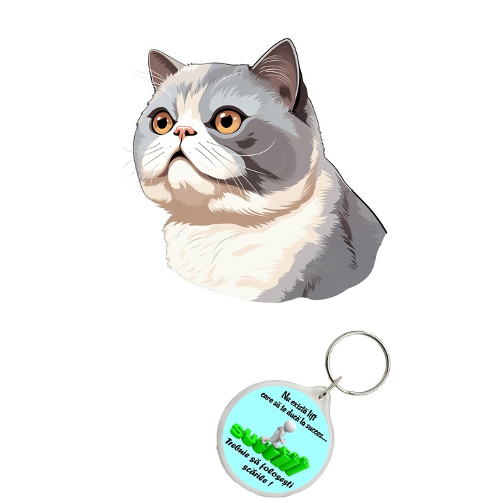 Set sticker decorativ perete, auto si geam, Pisica - Exotic Shorthair model 15, 35 CM si breloc succes
