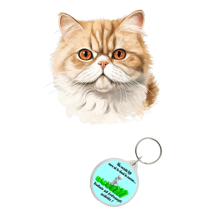 Set sticker decorativ perete, auto si geam, Pisica - Exotic Shorthair model 2model 9, 40 CM si breloc succes
