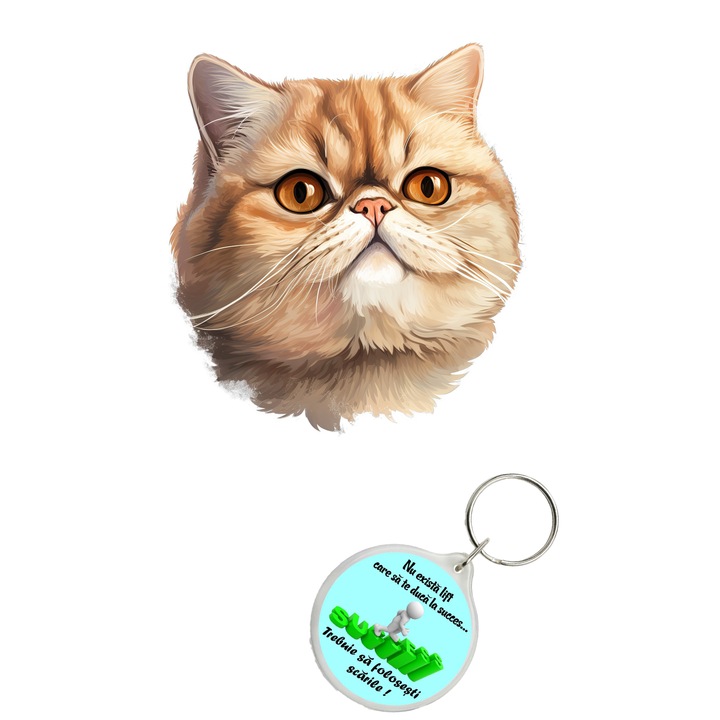 Set sticker decorativ perete, auto si geam, Pisica - Exotic Shorthair model 2model 4, 40 CM si breloc succes