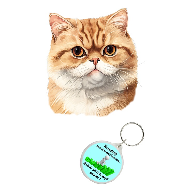 Set sticker decorativ perete, auto si geam, Pisica - Exotic Shorthair model 2, 40 CM si breloc succes