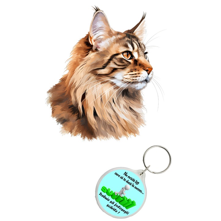 Set sticker decorativ perete, auto si geam, Pisica - Maine Coon model 4, 40 CM si breloc succes