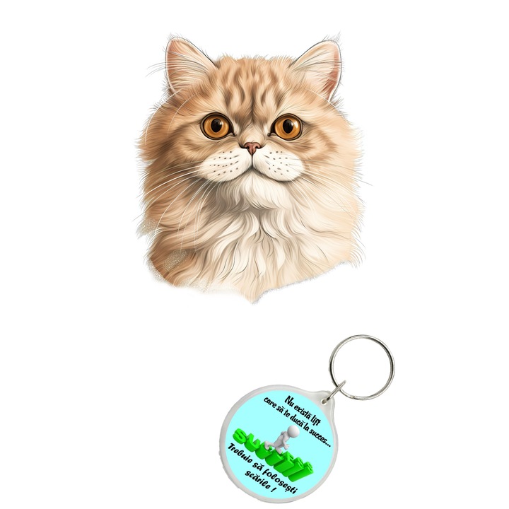 Set sticker decorativ perete, auto si geam, Pisica - Munchkin model 2, 40 CM si breloc succes