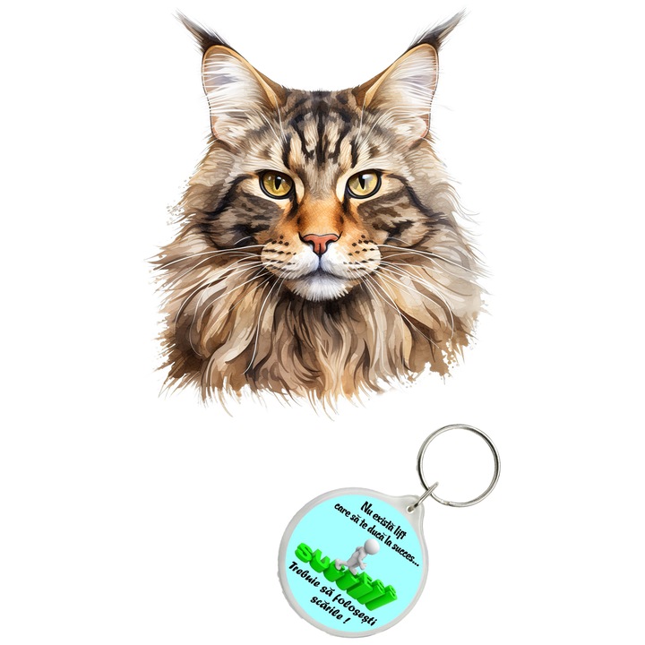Set sticker decorativ perete, auto si geam, Pisica - Maine Coon model 8, 35 CM si breloc succes