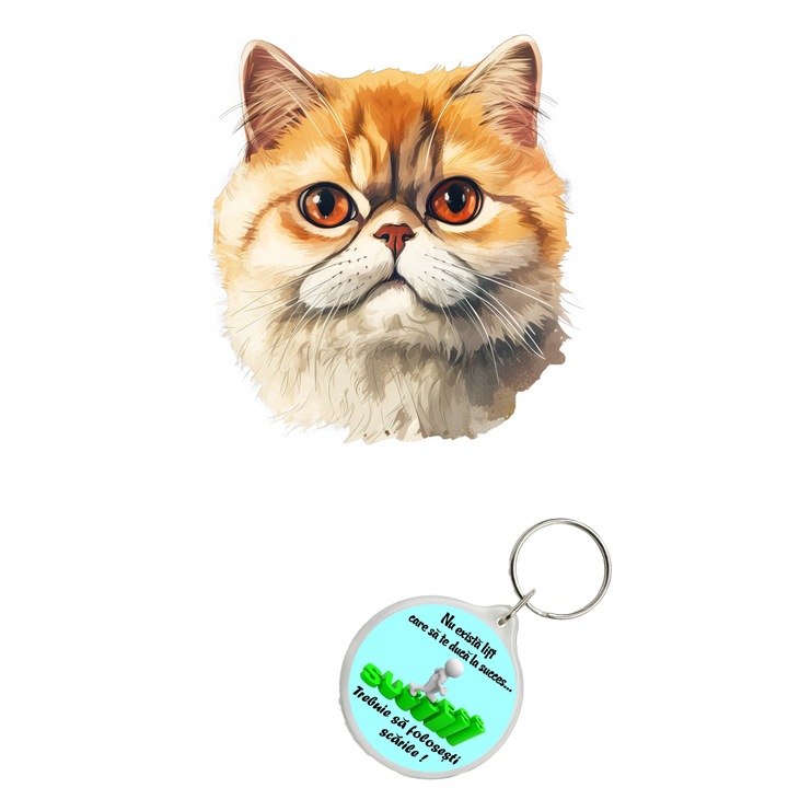 Set sticker decorativ perete, auto si geam, Pisica - Exotic Shorthair model 2model 6, 40 CM si breloc succes