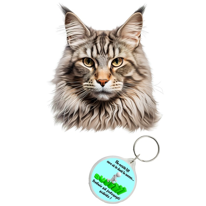 Set sticker decorativ perete, auto si geam, Pisica - Maine Coon model 13, 40 CM si breloc succes