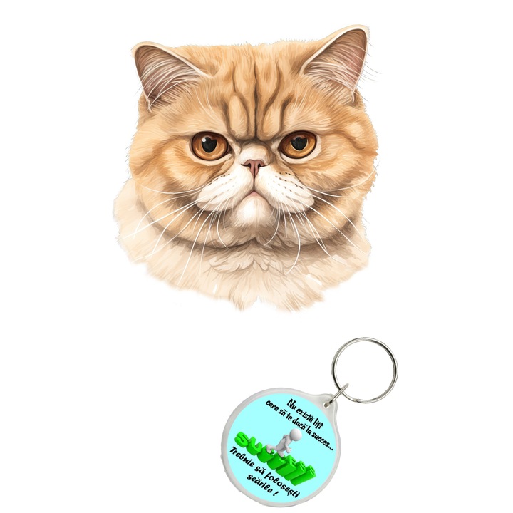 Set sticker decorativ perete, auto si geam, Pisica - Exotic Shorthair model 14, 40 CM si breloc succes
