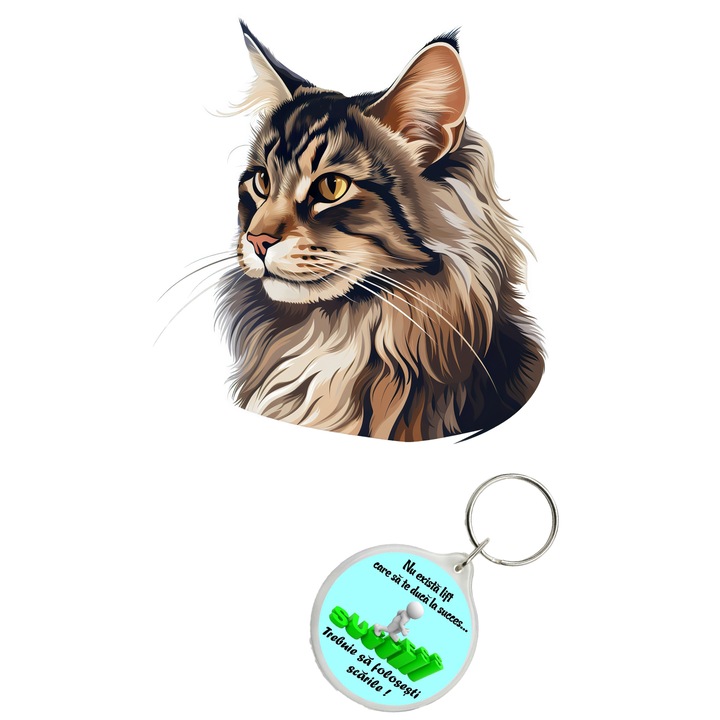 Set sticker decorativ perete, auto si geam, Pisica - Norwegian Forest Cat model 3, 40 CM si breloc succes