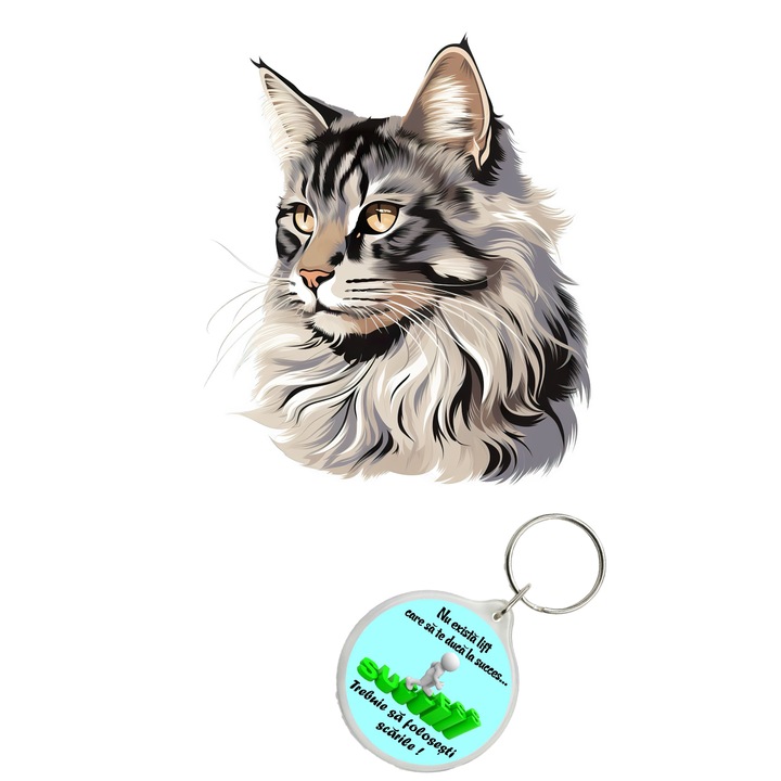 Set sticker decorativ perete, auto si geam, Pisica - Norwegian Forest Cat model 2, 40 CM si breloc succes