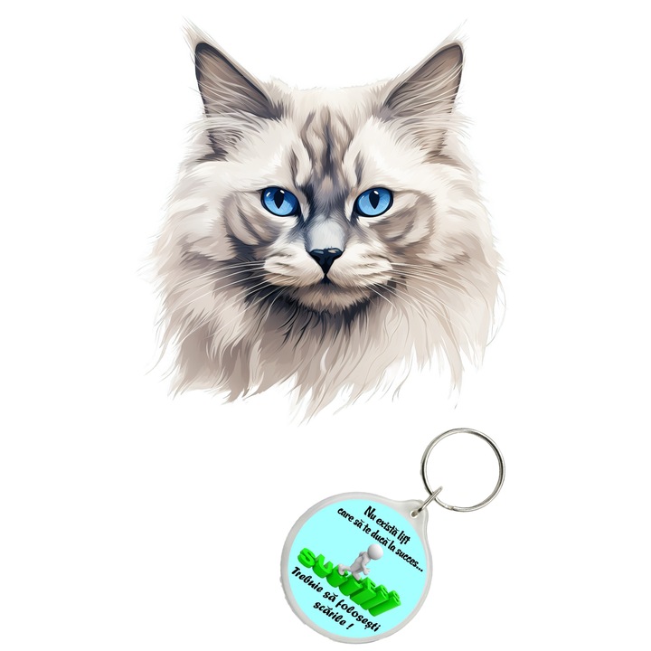 Set sticker decorativ perete, auto si geam, Pisica - Neva Masquerade model 1, 40 CM si breloc succes