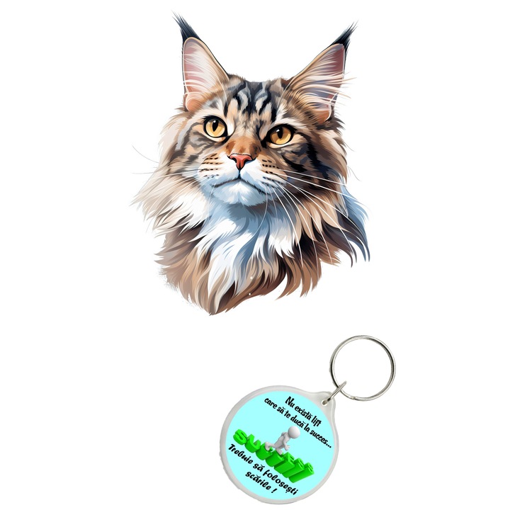 Set sticker decorativ perete, auto si geam, Pisica - Maine Coon model 2, 40 CM si breloc succes
