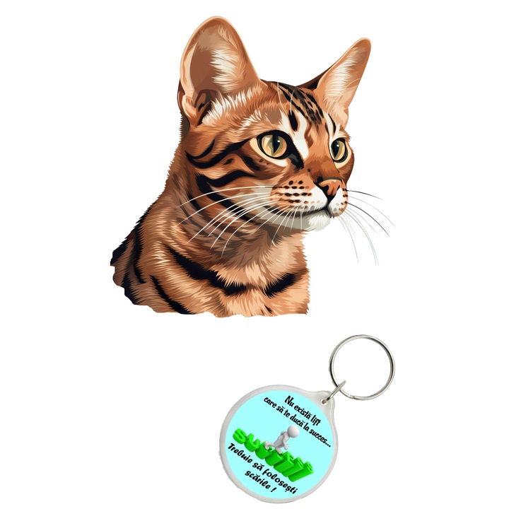 Set sticker decorativ perete, auto si geam, Pisica - Ocicat model 9, 40 CM si breloc succes