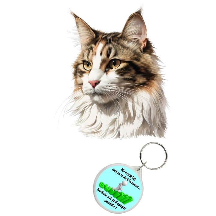Set sticker decorativ perete, auto si geam, Pisica - Norwegian Forest Cat model 17, 40 CM si breloc succes