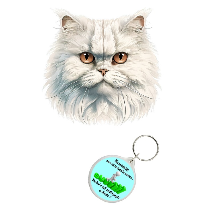 Set sticker decorativ perete, auto si geam, Pisica - Persian model 3, 40 CM si breloc succes