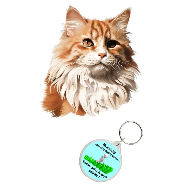 Set sticker decorativ perete, auto si geam, Pisica - Ragamuffin model 7, 35 CM si breloc succes