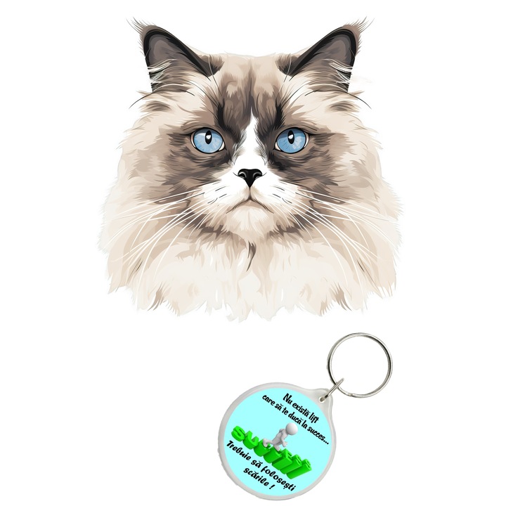 Set sticker decorativ perete, auto si geam, Pisica - Himalayan model 4, 40 CM si breloc succes