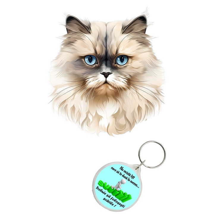 Set sticker decorativ perete, auto si geam, Pisica - Himalayan model 1, 40 CM si breloc succes