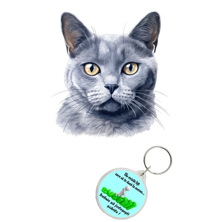 Set sticker decorativ perete, auto si geam, Pisica - Russian Blue model 2, 40 CM si breloc succes