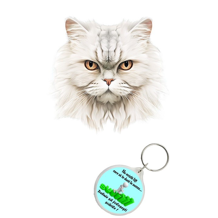 Set sticker decorativ perete, auto si geam, Pisica - Persian model 6, 40 CM si breloc succes