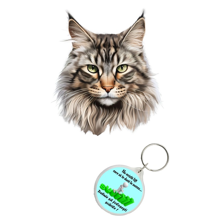 Set sticker decorativ perete, auto si geam, Pisica - Maine Coon model 12, 40 CM si breloc succes