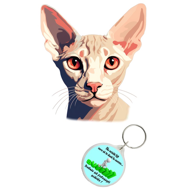 Set sticker decorativ perete, auto si geam, Pisica - Peterbald model 2, 40 CM si breloc succes