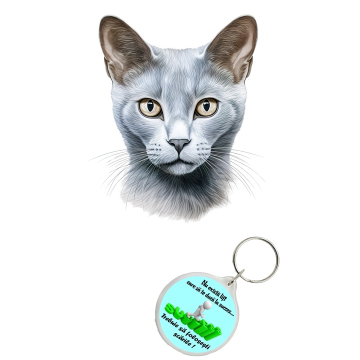 Set sticker decorativ perete, auto si geam, Pisica - Russian Blue model 4, 40 CM si breloc succes