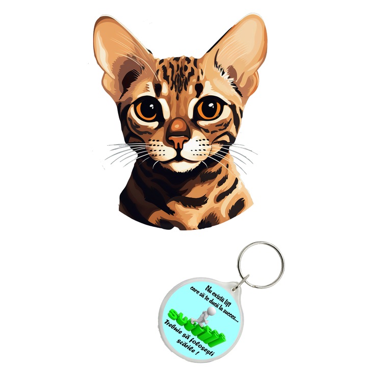 Set sticker decorativ perete, auto si geam, Pisica - Ocicat model 1, 35 CM si breloc succes
