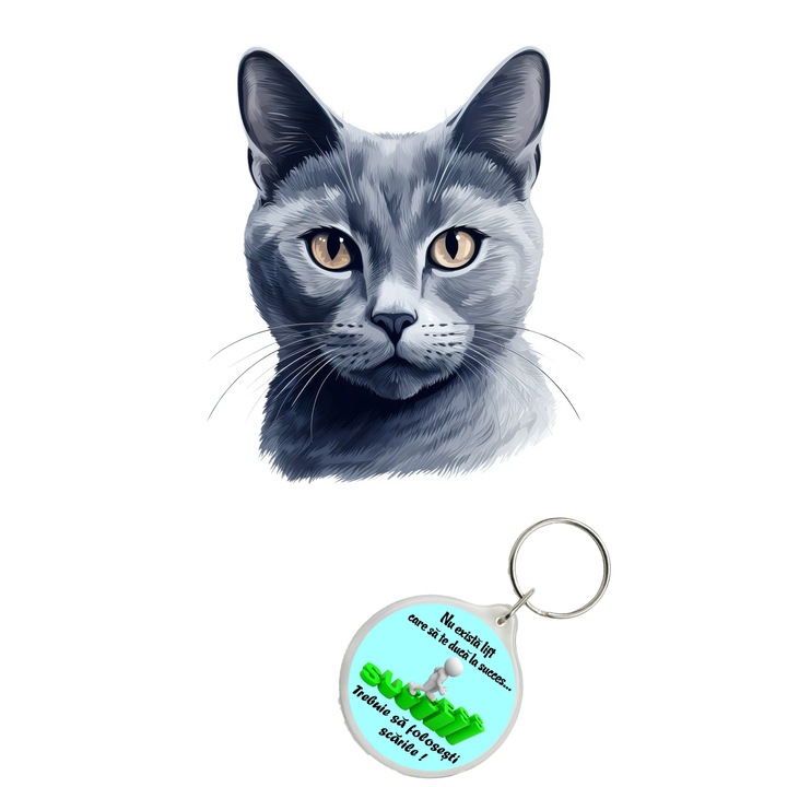 Set sticker decorativ perete, auto si geam, Pisica - Russian Blue model 8, 40 CM si breloc succes