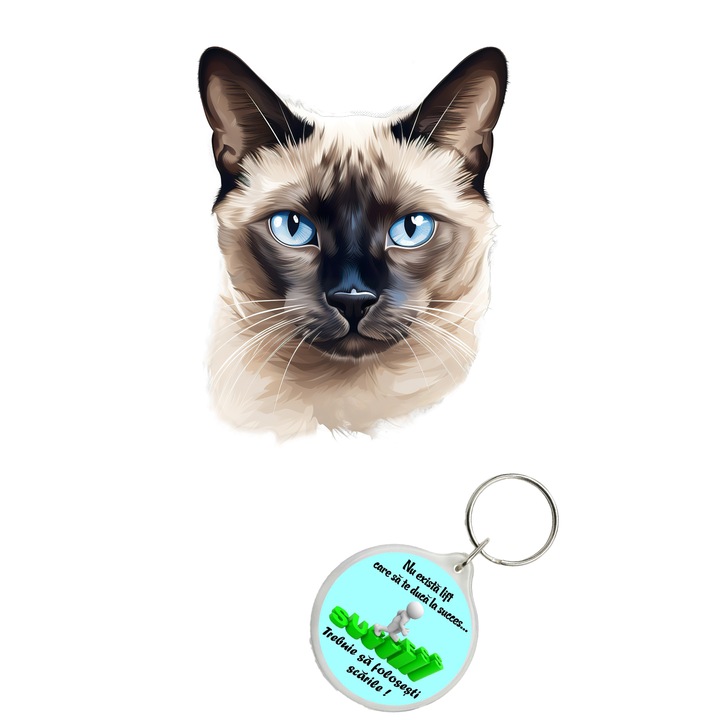 Set sticker decorativ perete, auto si geam, Pisica - Siamese model 1, 40 CM si breloc succes
